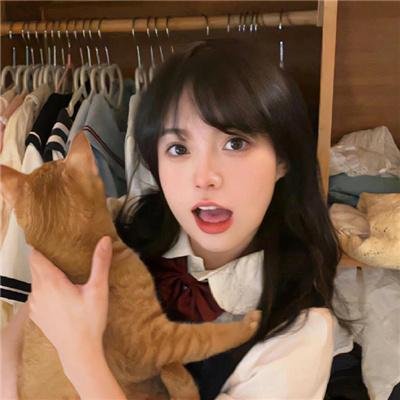 穷追不舍