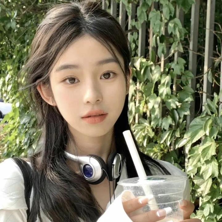 完美圣诞节