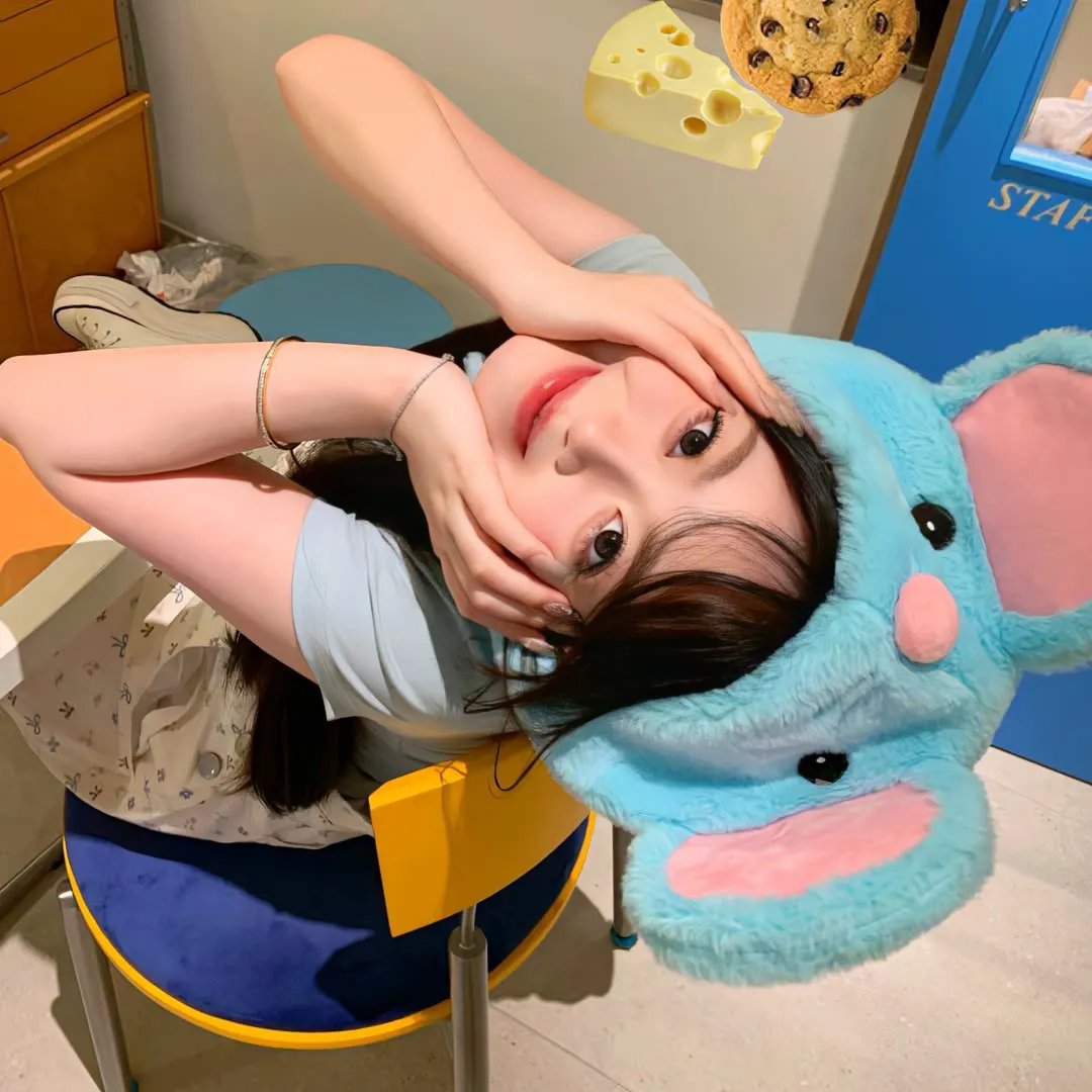和歌子酒第二季